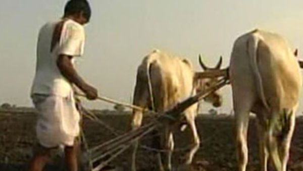 Seeds-Fertilizers Distribution to Farmers in Dharwad If Create Artificial Scarcity DC Legal action warn