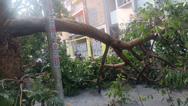 Flood Created in Yelahanka Due Heavy Rain BBMP Instructed to Visit Spot Give Help