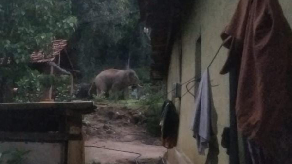 Four Boys From Same Village Drowned In Lake At Hassan District