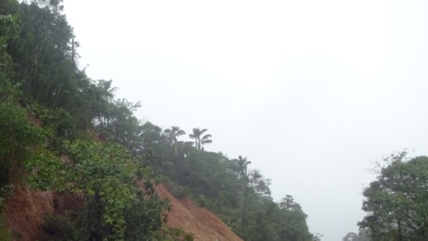 There Is A Possibility Of Good Monsoon Rain In Kodagu This Time