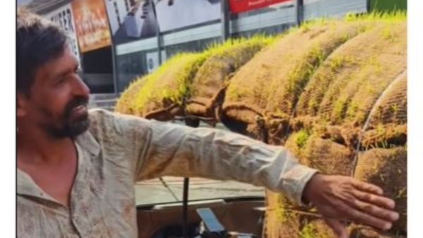The Driver Grew Grass on His Auto Rickshaw due To Telangana Heat Wave Video Viral The Driver Grew Grass on His Auto Rickshaw due To Telangana Heat Wave Video Viral