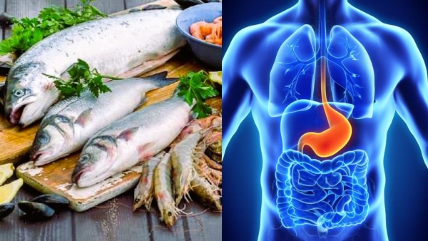 Health Benefits of Fish Food Fish contains heart brain health- eat 2 times a week and see the benefits