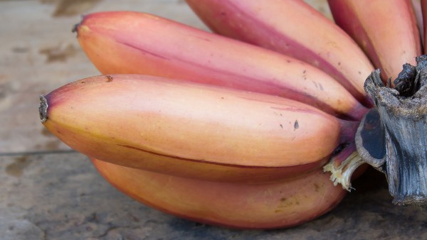 Health benefits of Red Banana 9 amazing benefits of red banana in kannada