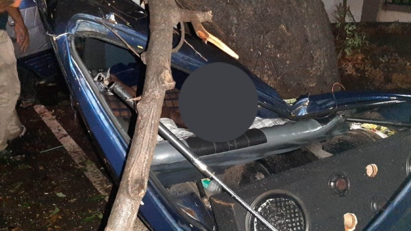 Heavy Rain in Mandya Causes Uprooted Trees to Fall on Car Resulting in Fatality