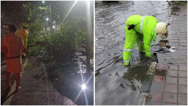 Heavy Rain Causes Trees to Uproot Roads to Flood and Traffic Delays in Bengaluru
