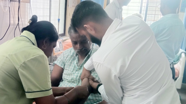 Honeybee Attack On Tourists In Mandya District Srirangapatna Honeybee Attack On Tourists In Mandya District Srirangapatna