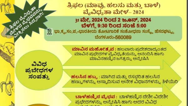 IIHR Organized Mango Jackfruit Banana Fair 2024 on May 31st in Hesaraghatta Bengaluru