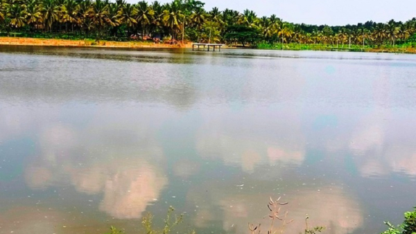 Karnataka Drought Water Level Completely Decreased In H D Kote Lakes