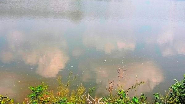 Karnataka Drought Water Level Completely Decreased In H D Kote Lakes