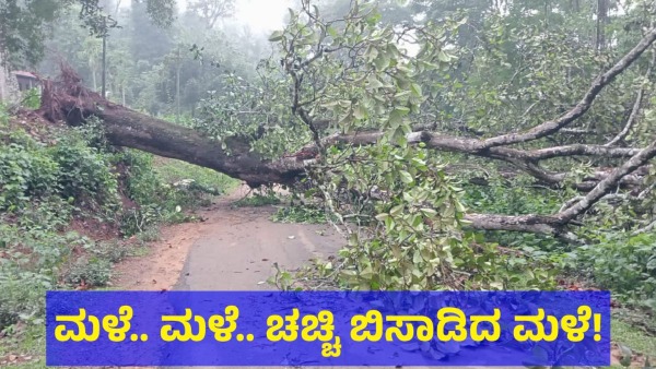 Karnataka State Including Chikkamagaluru District Is Receiving Heavy Rain From 17 May 2024