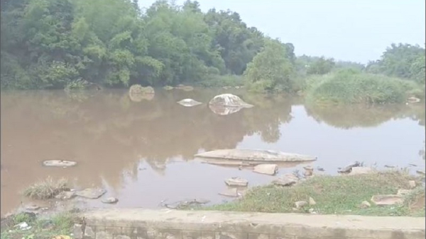 Pre Monsoon Rain Brings Happiness In Kodagu Farmers