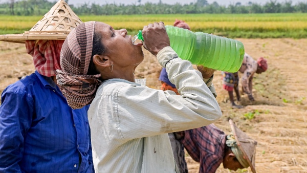 Heat Wave In Karnataka Tips For Labour