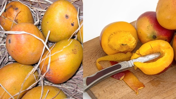 Try This Surprising Mango peel recipes in Mango season