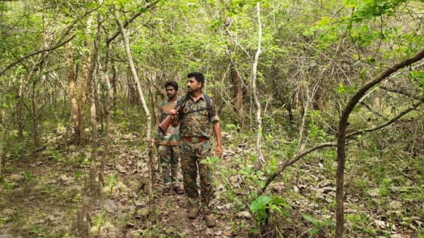 Do You Know Why There Is A Sudden Elephant Census In Nagarhole