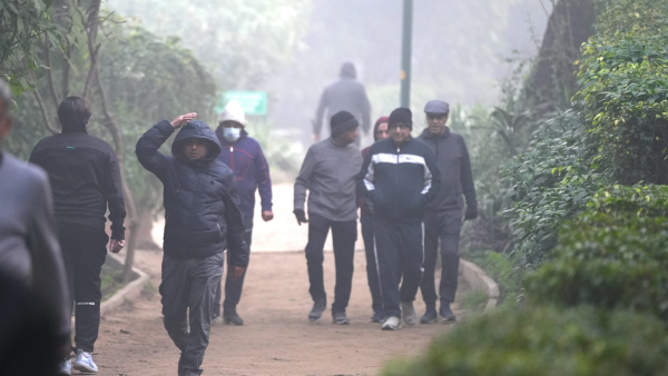 Extend Your Lifespan by 5 Years with These 4 Simple Habits