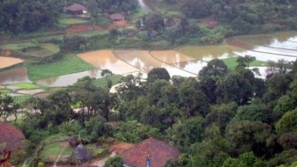 Despite The Pre-Monsoon Rains Agricultural Activity Has Not Started In Kodagu