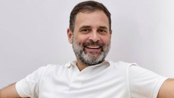 Why Congress fielded Rahul Gandhi from Raebareli know the strategy behind this move
