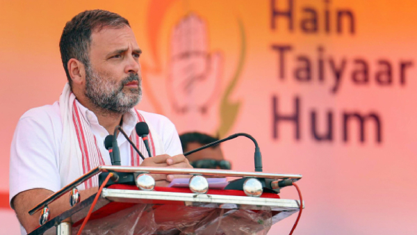 Rahul Gandhi To Fight From Raebareli Congress Fields Kishori Lal Sharma From Amethi