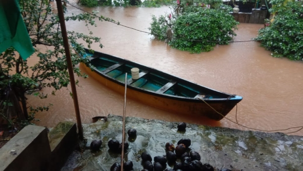 Monsoon 2024 People To Get Monsoon Rain Rain Forecast BY Mobile