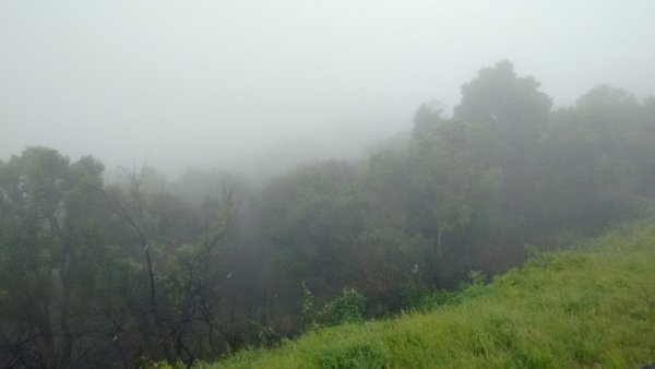 It Has Been Raining All Over Chamarajanagara District