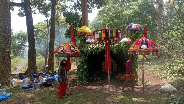 Rotti festival Celebration in Biligiriranga Hill