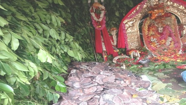 Rotti Habba Celebration at Biligiri Rangana Swamy Temple