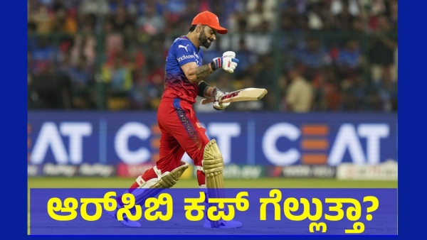 Royal Challengers Bengaluru Team Must Win 2 Match To Reach Next Level