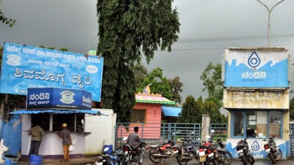 SHIMUL To Distribute Fodder Kit For Farmers Free
