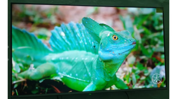 Don t Miss Out Big Discounts on Smart TVs in Flipkart Sale Grab Yours Now