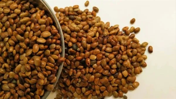 Sprouts Horse Gram Pulao Recipe Know How to Make Molake Hurulikalu palav in Kannada