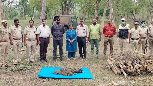 A tiger dead body was found near Bandipur
