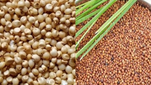 21-Day Challenge Say Goodbye to Obesity and Hello to a Healthier You