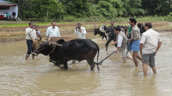 Monsoon 2024 Kodagu Received 11 Percent Less Rainfall Than Normal