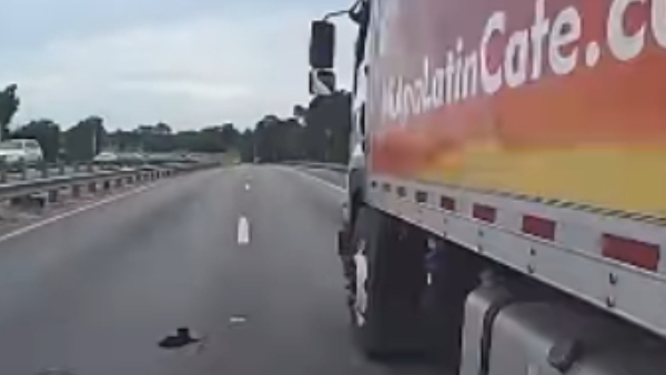 Police Officers Rescue Baby Cat on Highway Wins Hearts of Netizens Video Goes Viral Police Officers Rescue Baby Cat on Highway Wins Hearts of Netizens Video Goes Viral