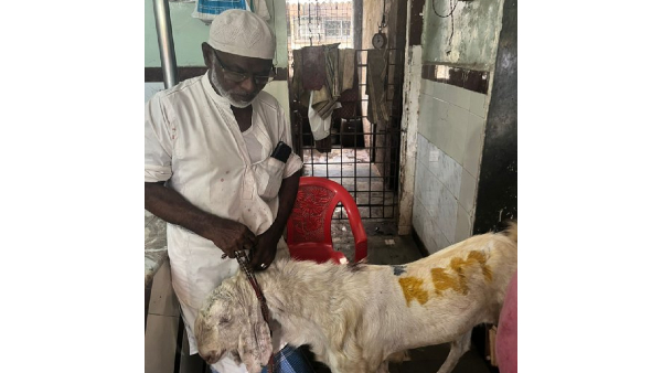 Rama s name on the sheep sacrificed for Bakrid