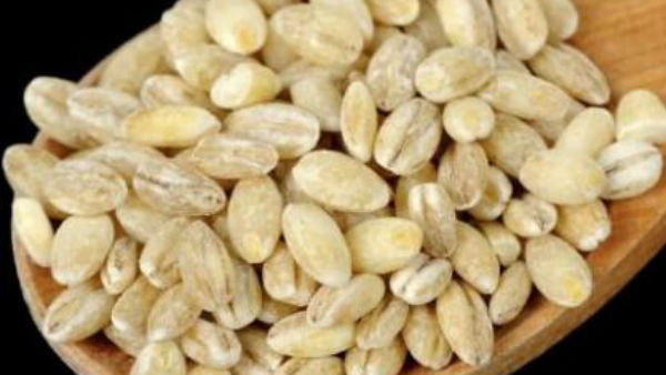 Barley Porridge Proven to Aid in Obesity Reduction