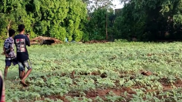 Bear found in Annurukeri village of Gundlupet taluk Farmers worried