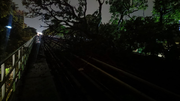 Special Equipment Clears Fallen Tree on Bengaluru Namma Metro Track Special Equipment Clears Fallen Tree on Bengaluru Namma Metro Track