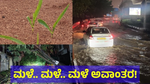Heavy Rain Is Created Several Infrastructure Problems In Namma Bengaluru On June 2 Of 2024