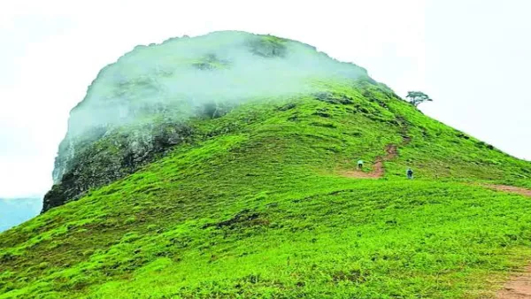 Chikkamagaluru temporary ban on ettina bhuja trekking