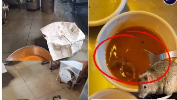 Viral Video of Customer has Found Dead Rat in Sambar at Ahmedabad Hotel Netizens Outrage