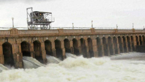 CWMA to send team to Karnataka to check and review the water situation in dams