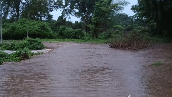Heavy rain in many parts of Davanagere district on June 07