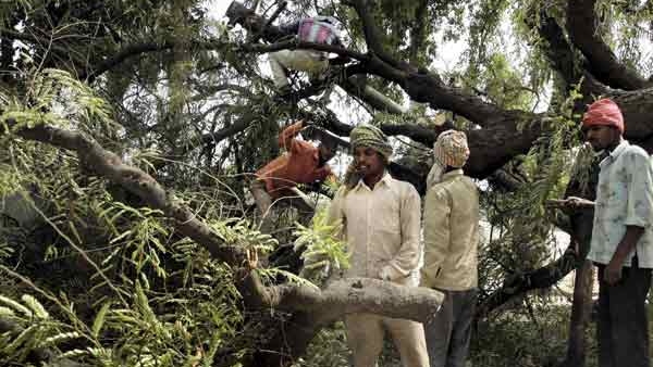 Deemed forest which brought hardship to the farmers problem for an area of 50 thousand acres Deemed forest which brought hardship to the farmers problem for an area of 50 thousand acres
