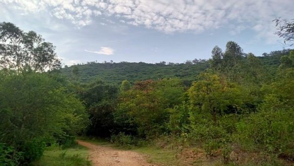 Travel News Now you Can Feel Malnad in Mysuru Chamundi Hills Only