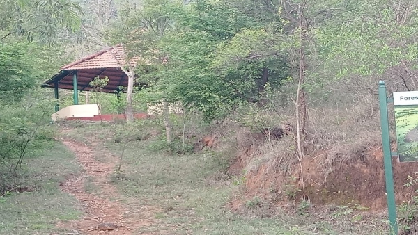 Travel News Now you Can Feel Malnad in Mysuru Chamundi Hills Only