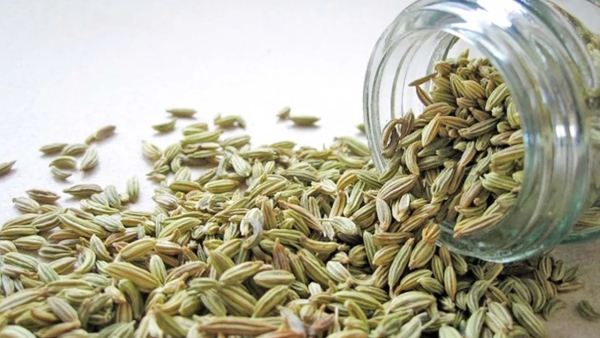 Discover the Health Benefits of Drinking Fennel Water on an Empty Stomach