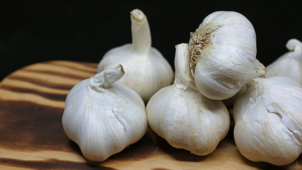 2 25 lakh rupees fraud to a garlic trader in Ramnagar 2 25 lakh rupees fraud to a garlic trader in Ramnagar