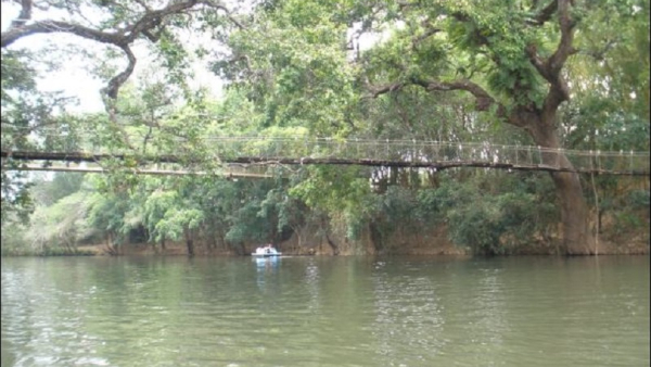 Hanging Bridge Are The Only Contact Device For Malenadu People