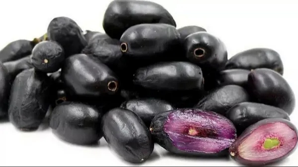Health benefits of jamun fruit Know the benefits of consuming Nerale Hannu in summer